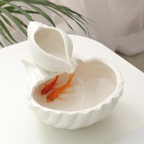 Tabletop Fountain with Circulation and Humidification