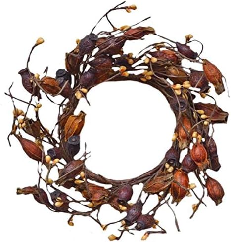 CWI Gifts Dried Rosehip Wreath Ring 10 Inch