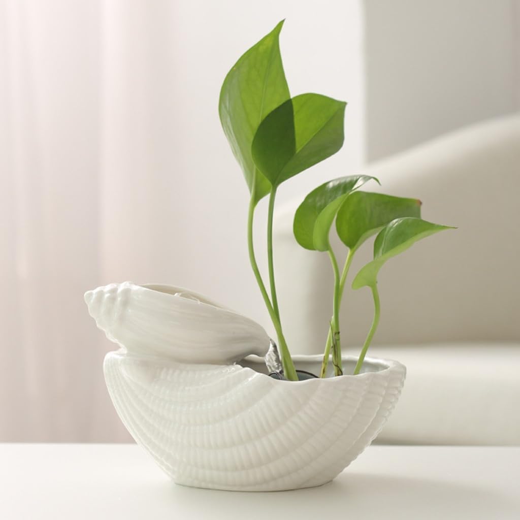 Tabletop Fountain with Circulation and Humidification