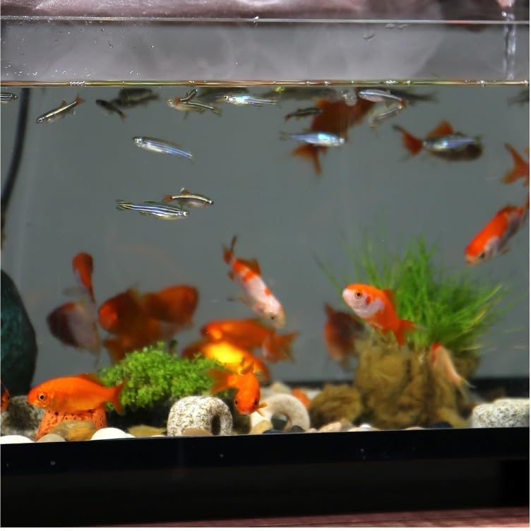 Indoor Fountain Fish Tank Water Ornament Zen Waterfall Landscape Humidifier Decoration